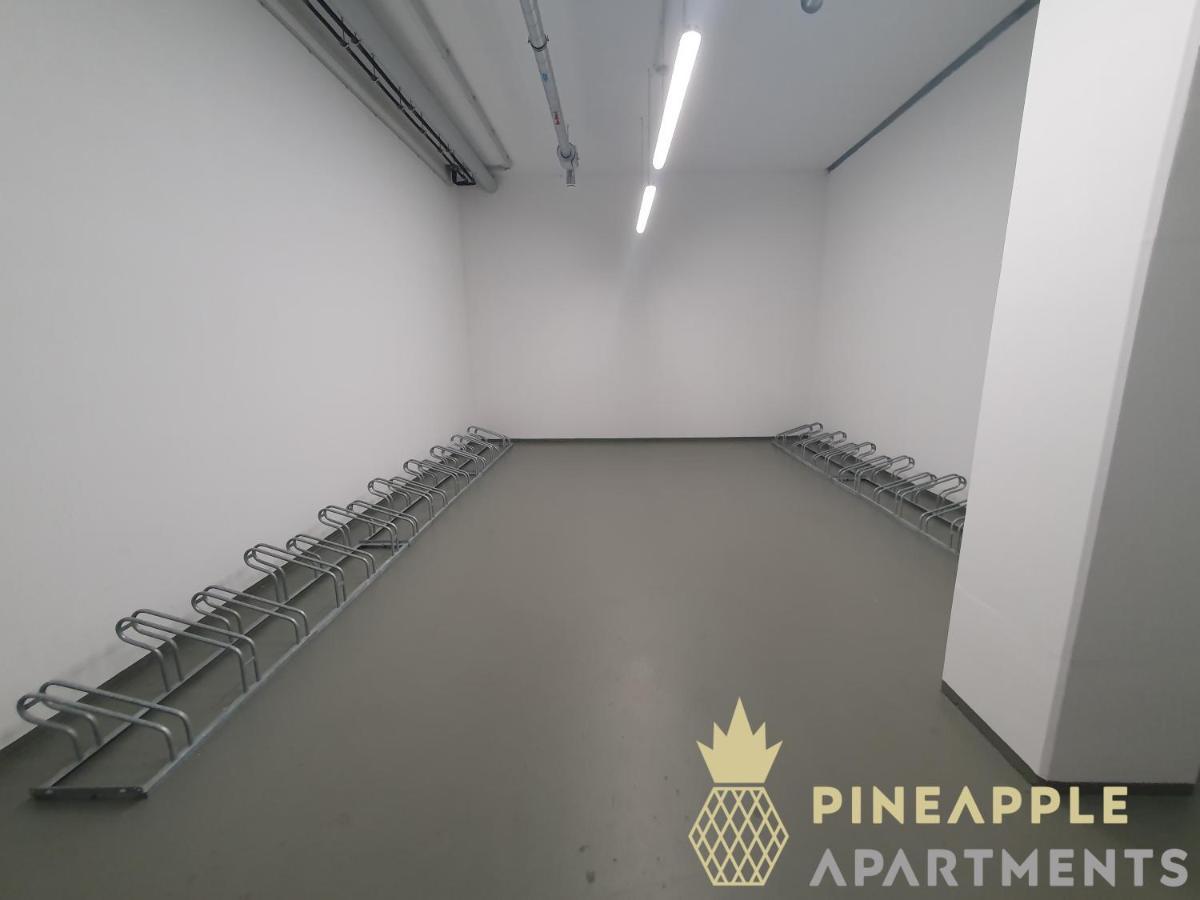 Pineapple Apartments Dresden Altstadt IV - 91 Qm - 1X Free Parking Ngoại thất bức ảnh
